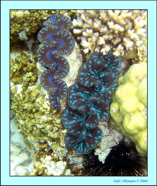 2005 - 08 - Perhentian  - 050.JPG